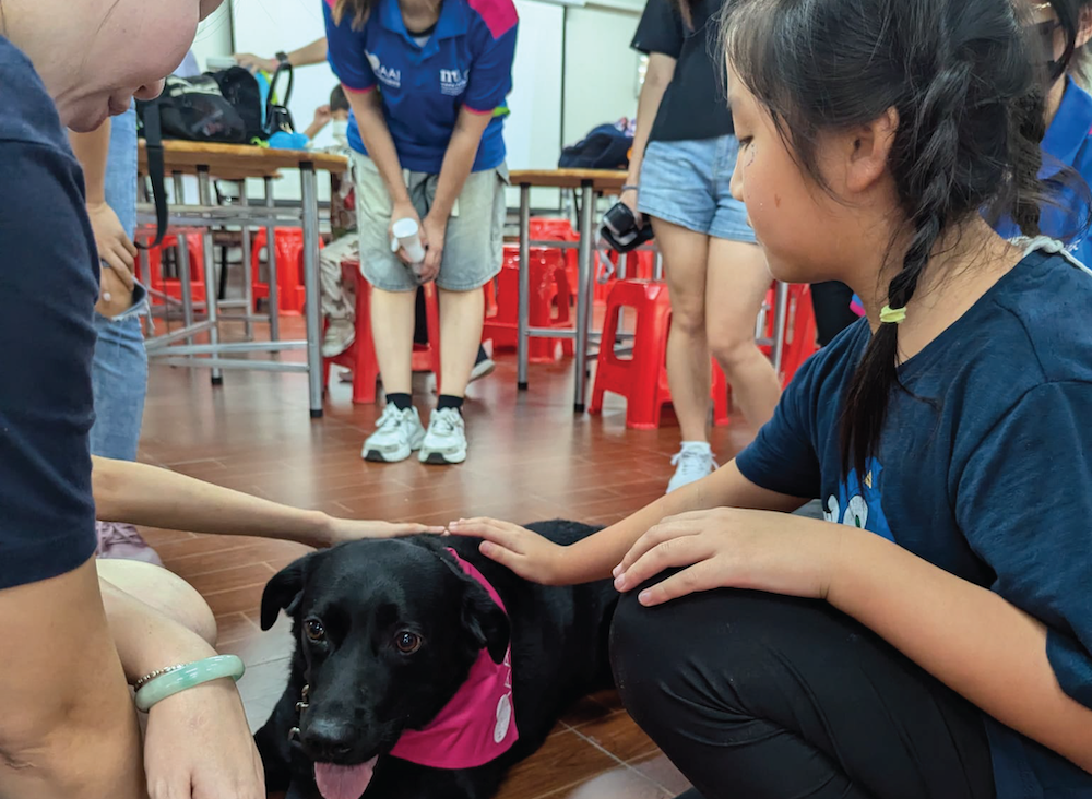 親子動物體驗半日遊