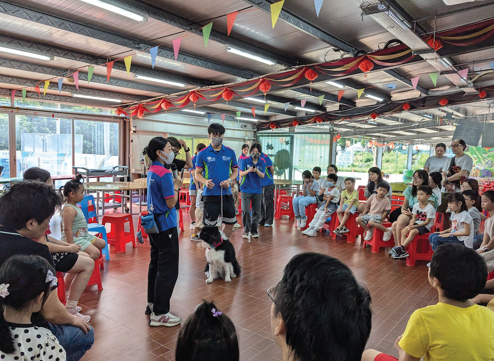 親子動物體驗半日遊