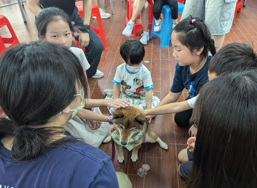 Family animal experience half-day tour