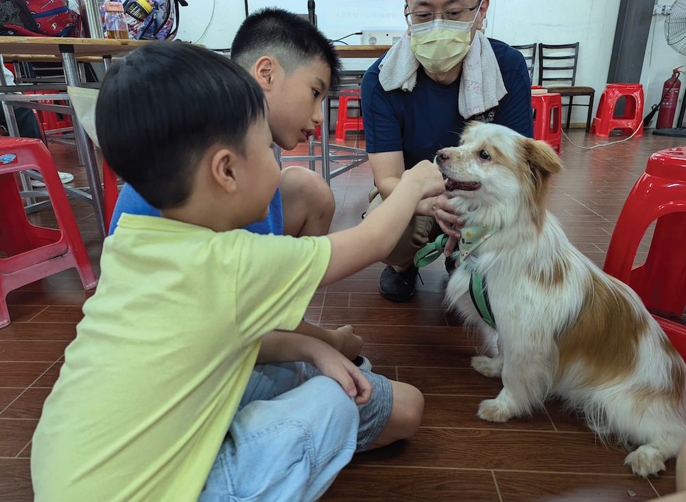 親子動物體驗半日遊