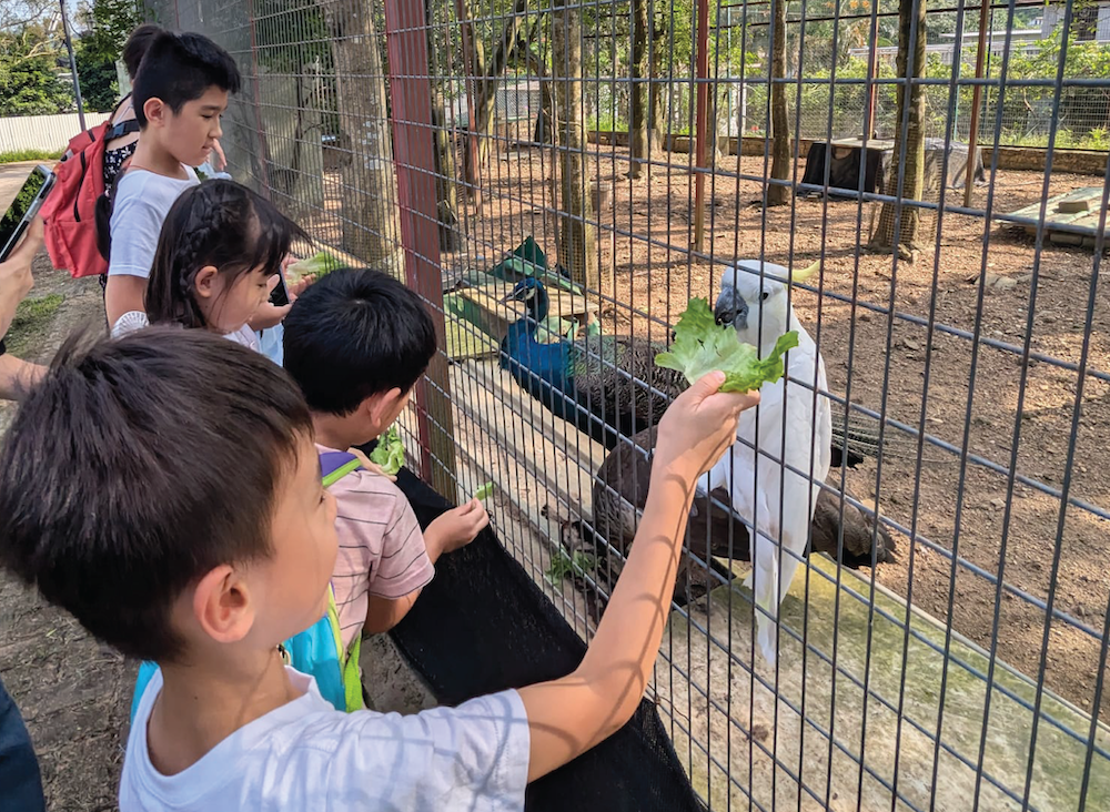 Family animal experience half-day tour