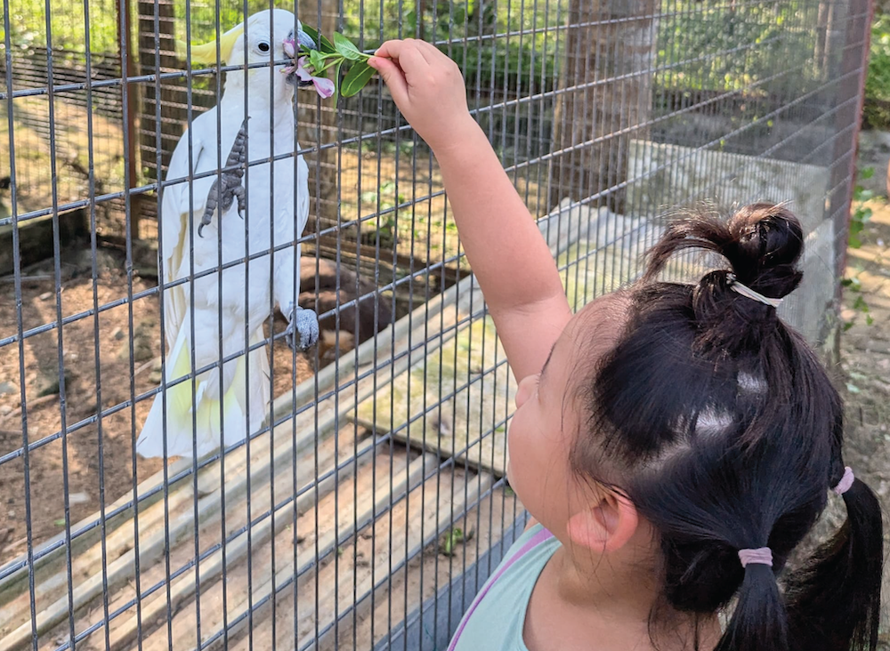 Family animal experience half-day tour