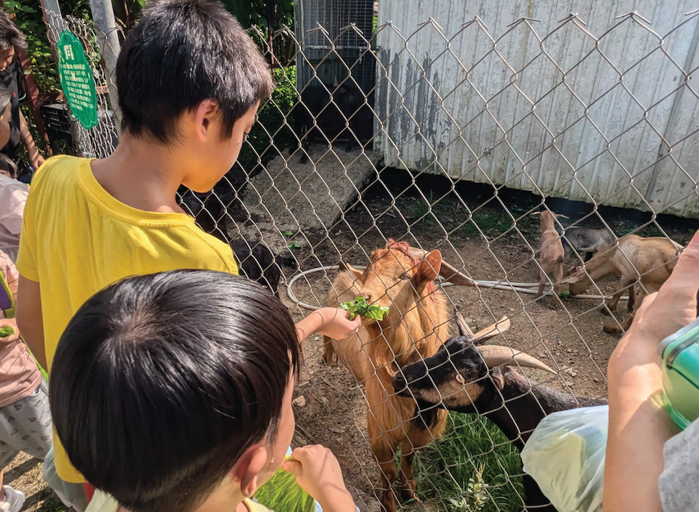 Family animal experience half-day tour