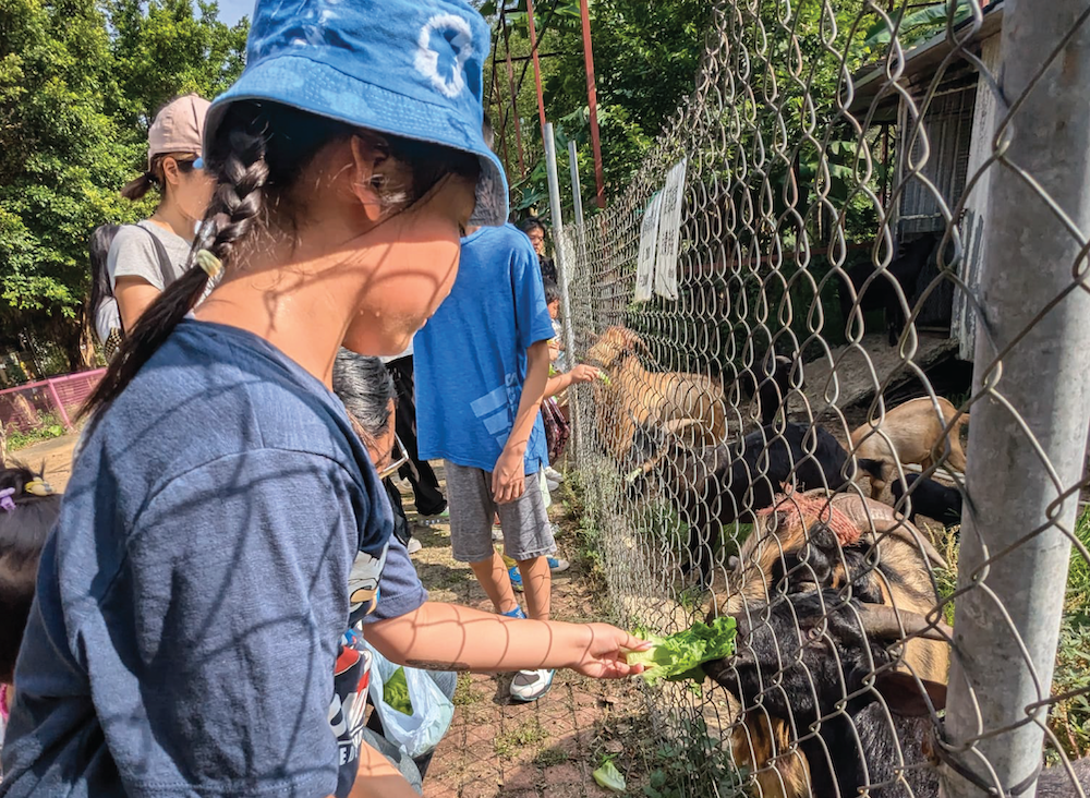 親子動物體驗半日遊