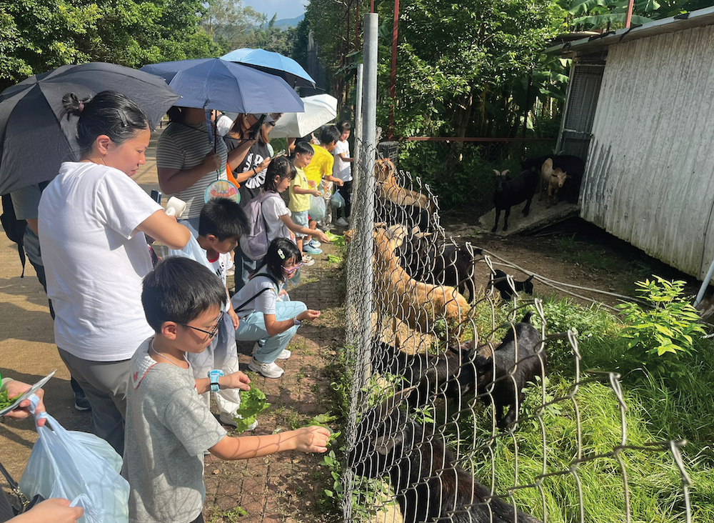 Family animal experience half-day tour